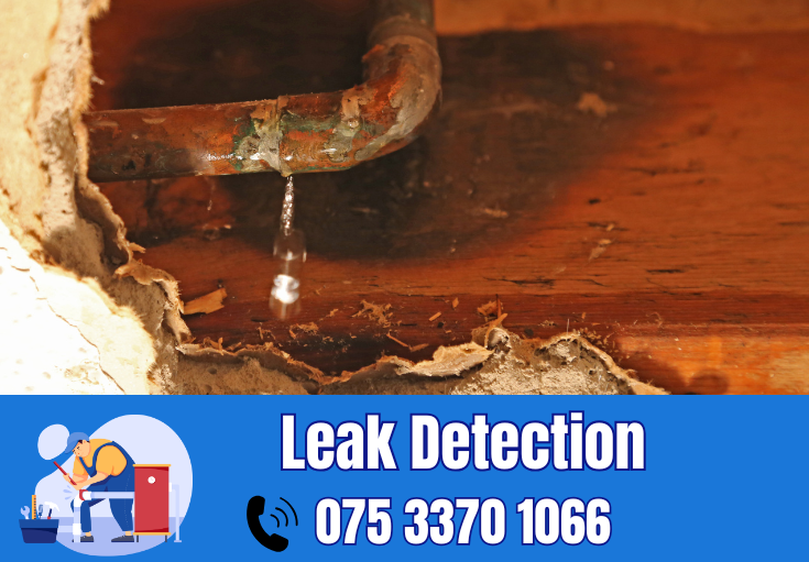 leak detection Harrietsham