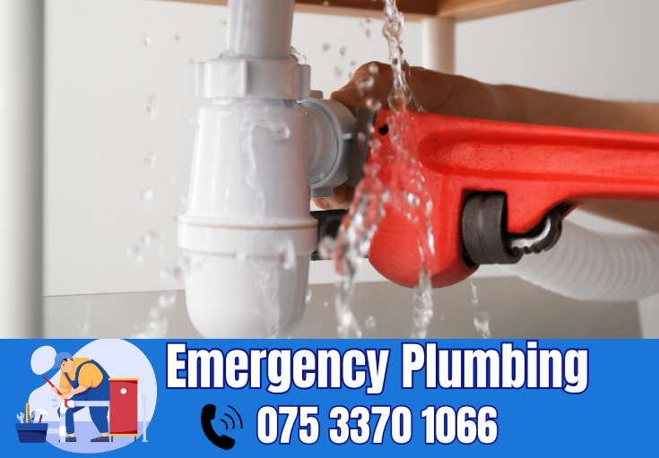  plumber Lenham