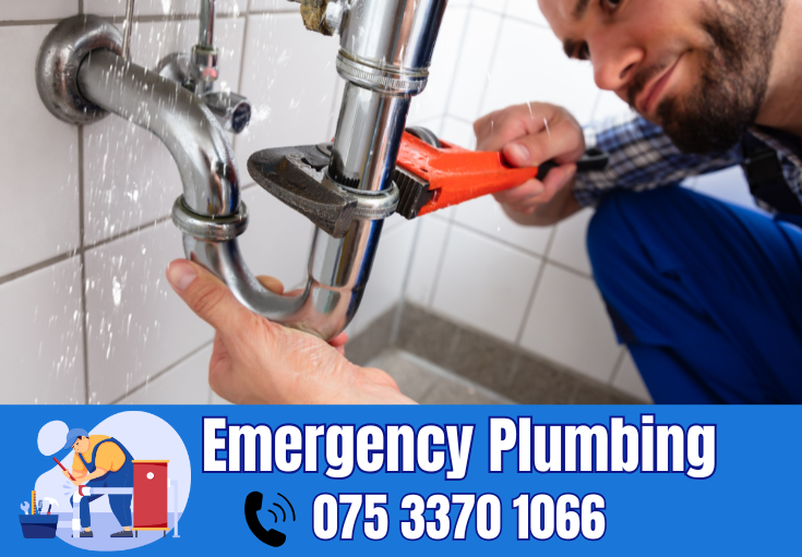  plumber Ulcombe