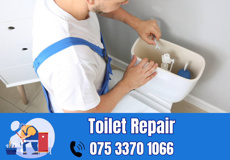 toilet repair Harrietsham